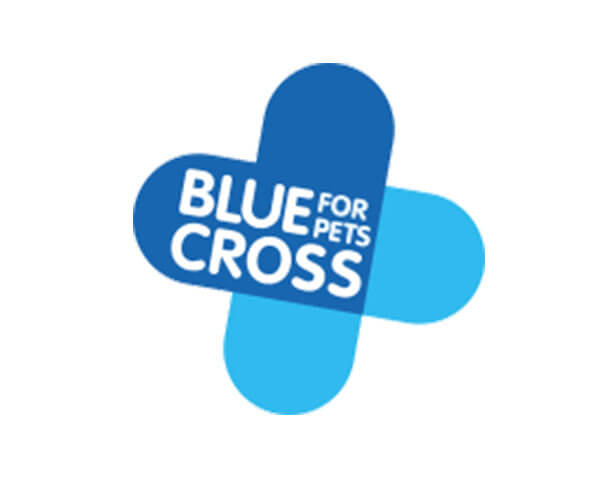 Blue Cross in Weybridge , 1A Church Street Opening Times