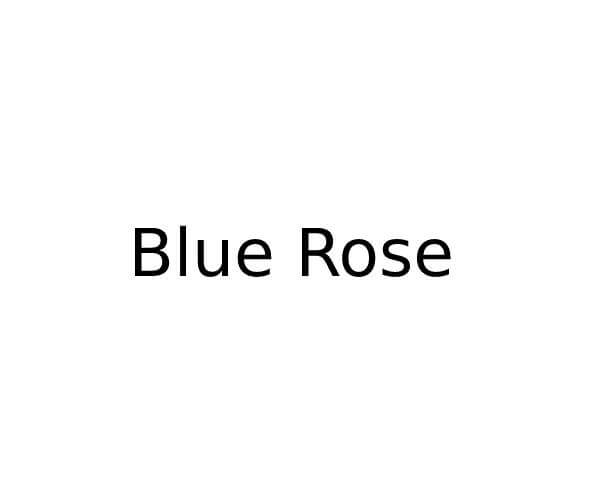 Blue Rose in 4 Kentish Town Road, London Opening Times